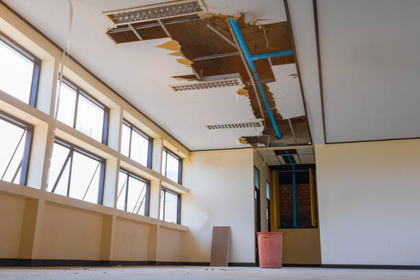 Reliable Waikoloa Village, HI Water damage restoration Solutions