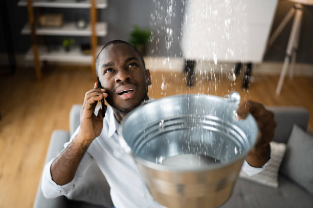 Best Water damage restoration process  in Waikoloa Village, HI