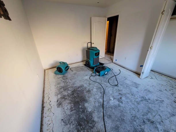 Best Mold removal after water damage  in Waikoloa Village, HI