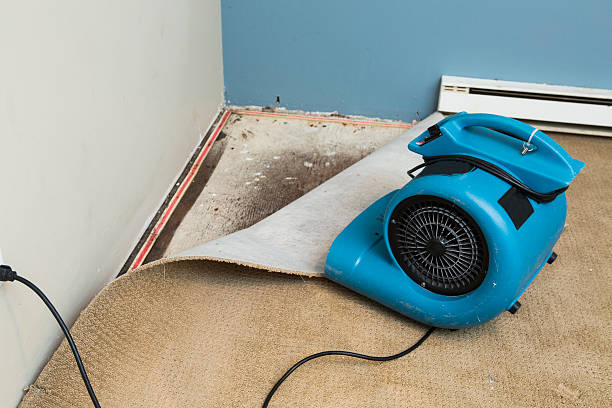 Best Water damage contractors near me  in Waikoloa Village, HI